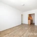 Rent 2 bedroom apartment of 42 m² in Prague