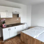 Rent 1 bedroom apartment in Olomouc