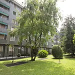 Rent 1 bedroom apartment of 15 m² in Milano