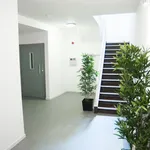 Rent 1 bedroom apartment in Liege