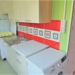 Rent 1 bedroom apartment in Brno