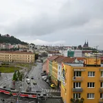 Rent 1 bedroom apartment in Brno