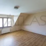 Rent 5 bedroom house in Prague