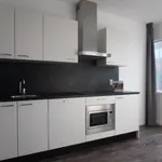 Huur 1 slaapkamer appartement van 39 m² in Maarssen