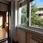 Rent 3 bedroom apartment of 100 m² in Roma