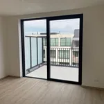  appartement avec 1 chambre(s) en location à Wielsbeke