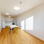 Pronajměte si 2 ložnic/e byt o rozloze 54 m² v Prague