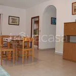 Rent 3 bedroom apartment of 110 m² in Alba Adriatica