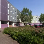 Location appartement 4 pièces QUETIGNY 75m² à 727.63€/mois - CDC Habitat