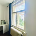 Rent a room of 70 m² in Prague