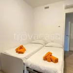 Rent 3 bedroom apartment of 96 m² in Riccione