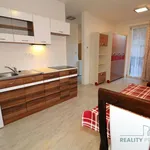 Rent 1 bedroom apartment of 25 m² in Brno