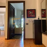 Rent 2 bedroom apartment of 55 m² in Roma