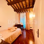 Rent 4 bedroom apartment of 120 m² in Perugia