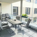 Rent 2 bedroom apartment of 73 m² in Papenburg