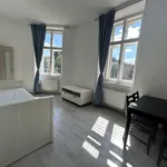 Rent 2 bedroom apartment of 38 m² in Brno