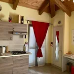 Rent 1 bedroom apartment of 45 m² in Vinovo