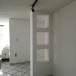 Rent 3 bedroom apartment of 118 m² in Guanajuato