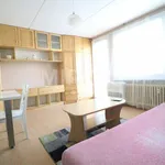 Rent 1 bedroom apartment in Praha 8