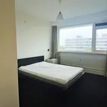 Rent 3 bedroom apartment of 110 m² in Amsterdam