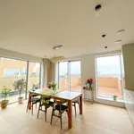 Rent 2 bedroom apartment of 1249 m² in Amsterdam