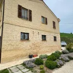 Rent 1 bedroom house of 35 m² in Ripatransone