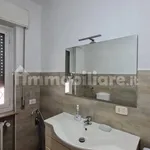 Rent 3 bedroom apartment of 80 m² in Novara