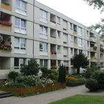 Rent 2 bedroom apartment of 56 m² in Dortmund