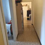 Affitto 1 camera appartamento di 45 m² in Bologna