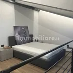 Rent 4 bedroom apartment of 80 m² in Cuneo