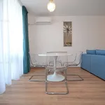 Rent 2 bedroom apartment of 58 m² in Timișoara