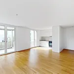 Rent 3 bedroom apartment of 62 m² in Zurich