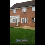 Detached house to rent in Wells Close, Kempston, Bedford MK42