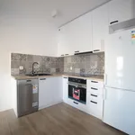 Rent 2 bedroom apartment of 53 m² in Toruń