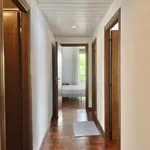 Rent 4 bedroom apartment of 130 m² in Roma