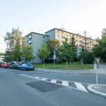 Pronajměte si 2 ložnic/e byt o rozloze 52 m² v Prague