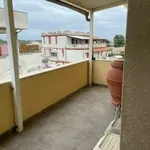 Attico arredato con terrazzo Anzio