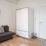 Rent a room in brussels