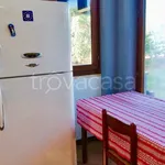 Rent 1 bedroom house of 50 m² in Monopoli