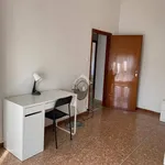 Rent 3 bedroom apartment of 80 m² in Ferrara