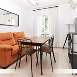 Rent 2 bedroom apartment of 10 m² in Seville