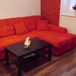 Rent 1 bedroom apartment of 45 m² in Prague