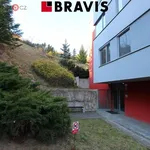 Rent 2 bedroom apartment of 58 m² in Brno