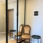 Rent 1 bedroom apartment in vilnius