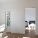 Rent 1 bedroom apartment in Milan