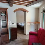 Rent 3 bedroom apartment of 70 m² in Pisa