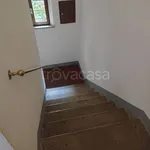 Rent 4 bedroom apartment of 80 m² in Siena