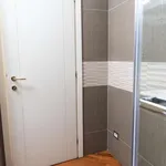 Rent 1 bedroom apartment in rome