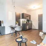 Rent 1 bedroom apartment of 26 m² in Essen