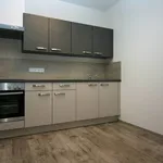 Rent 1 bedroom apartment of 38 m² in Capital City of Prague